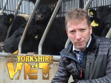 The Yorkshire Vet