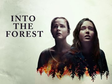 Into the Forest