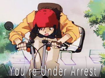 You're Under Arrest