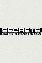 Secrets of Einstein's Brain
