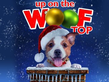 Up on the Wooftop