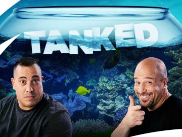 Tanked