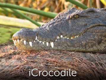 iCrocodile
