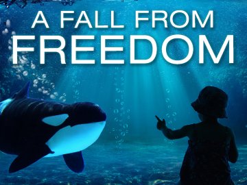 A Fall From Freedom