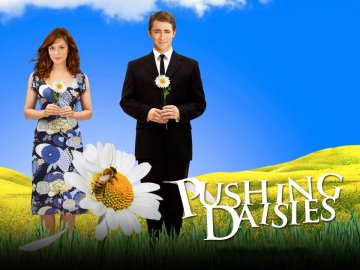 Pushing Daisies