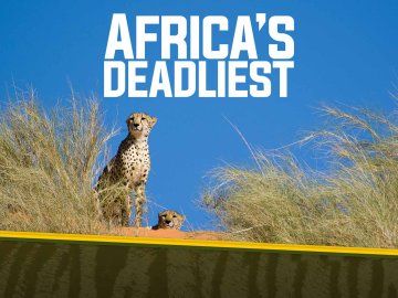 Africa's Deadliest