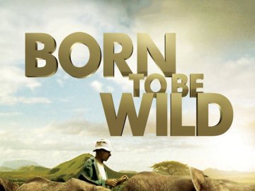 IMAX: Born to Be Wild