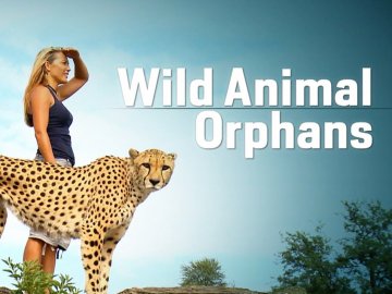Wild Animal Orphans