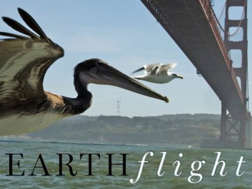 Earthflight, A Nature Special Presentation