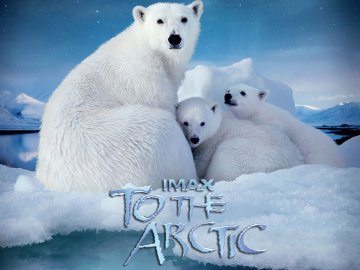 To the Arctic