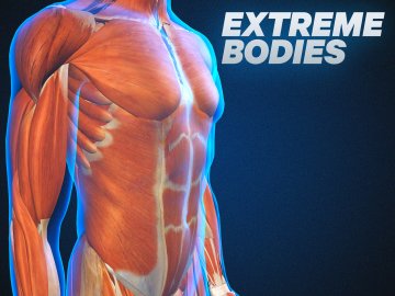Extreme Bodies