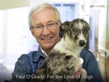 Paul O'Grady: For the Love of Dogs