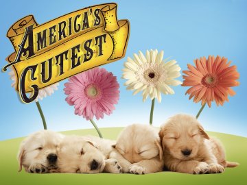 America's Cutest