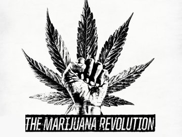 The Marijuana Revolution