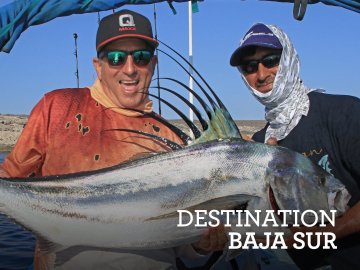 Destination Baja Sur