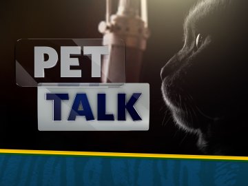 Pet Talk