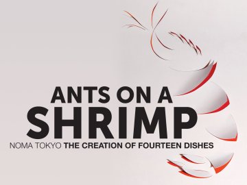 Ants on a Shrimp