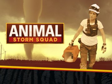 Animal Storm Squad