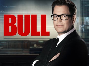 Bull