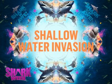 Shallow Water Invasion