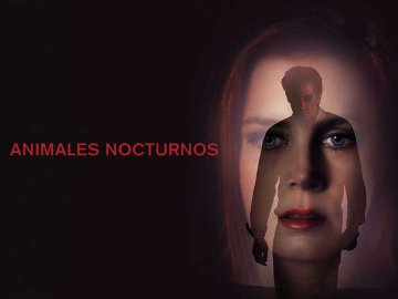 Nocturnal Animals