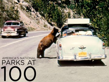 America's National Parks at 100