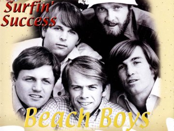The Beach Boys - Surfin Success