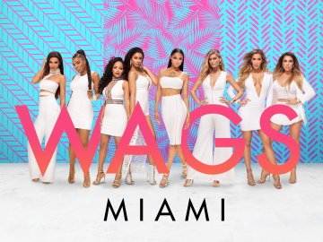 WAGS Miami