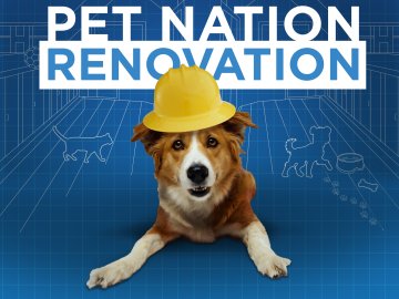 Pet Nation Renovation