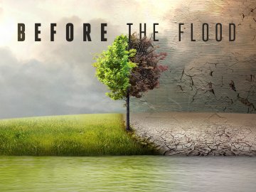 Before the Flood