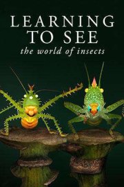 Learning to See: The World of Insects