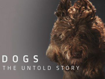 Dogs: The Untold Story