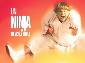 Beverly Hills Ninja