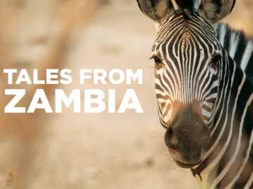 Tales From Zambia