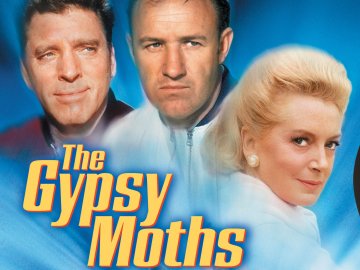 The Gypsy Moths