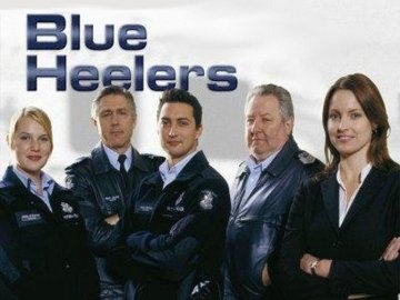 Blue Heelers