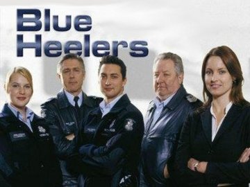 Blue Heelers