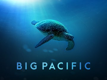 Big Pacific