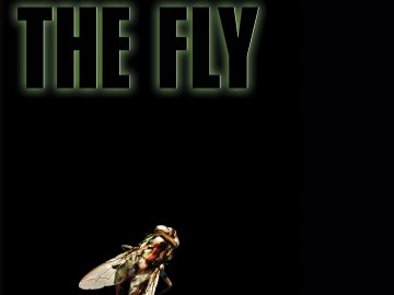 The Fly