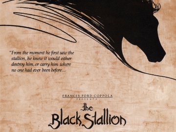 The Black Stallion