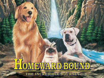 Homeward Bound: The Incredible Journey