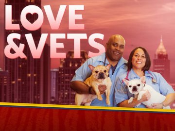 Love & Vets