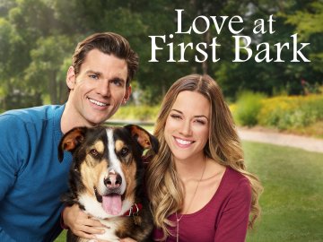 Love at First Bark