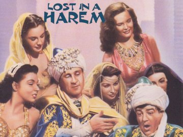 Lost in a Harem