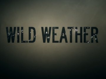 Wild Weather