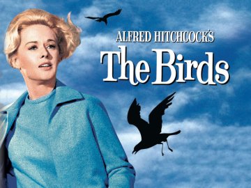 The Birds