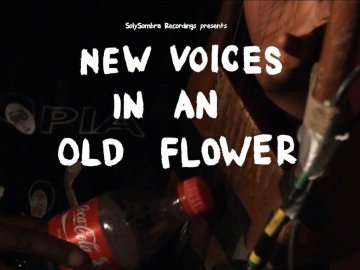 New Voices in an Old Flower