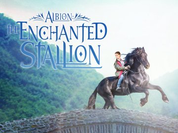 The Enchanted Stallion