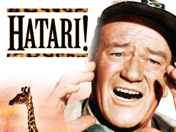 Hatari!