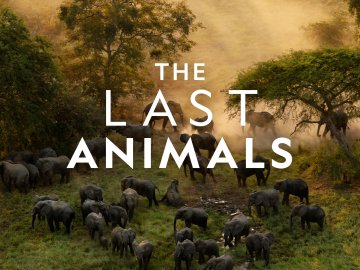 The Last Animals